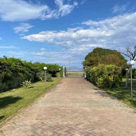 Villa Rosella Appartamento 2 - Con Piscina - 150 M Dal Mare Casa Margherita Εξωτερικό φωτογραφία