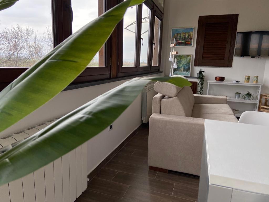 Villa Rosella Appartamento 2 - Con Piscina - 150 M Dal Mare Casa Margherita Εξωτερικό φωτογραφία